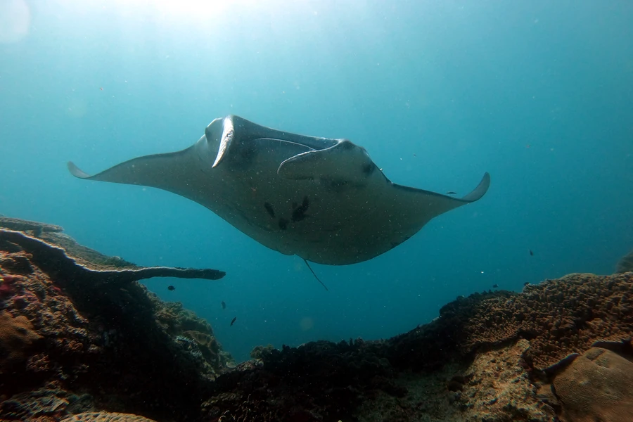 Nusa Penida